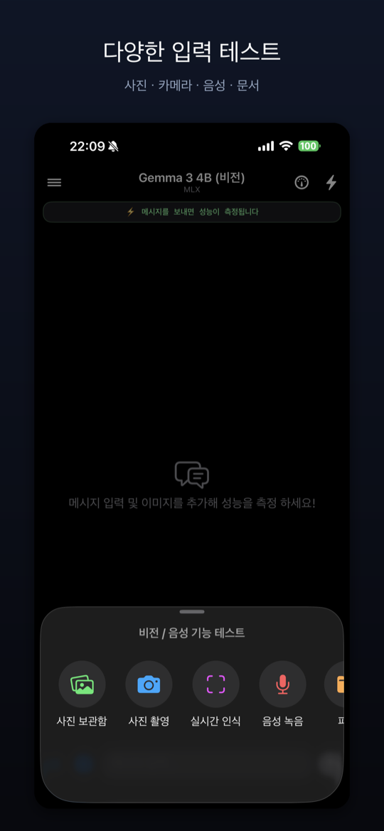 비전·음성 기능